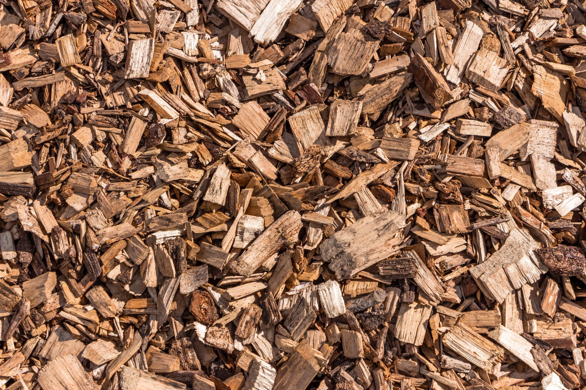 Orchid Potting Mix Care Guide & Information Brilliant Orchids