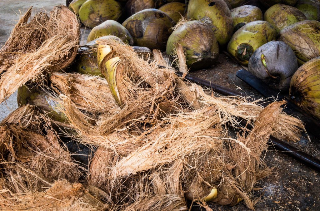 Coconut coir fiber